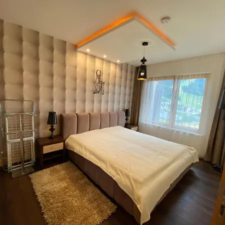 Apartment Sonnenhang Design